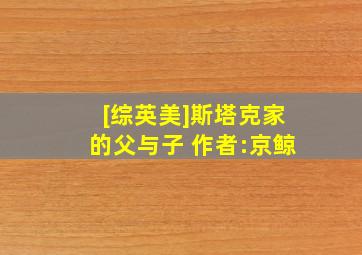 [综英美]斯塔克家的父与子 作者:京鲸